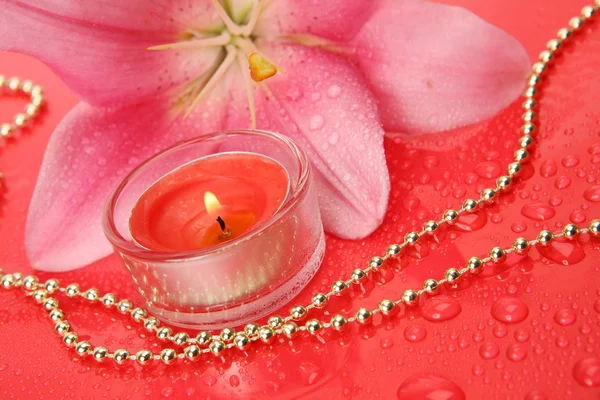 Roze lily en kaars — Stockfoto