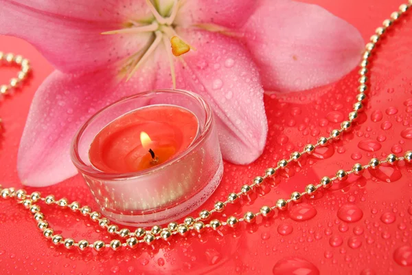 Pink lily and candle — Stock Photo, Image