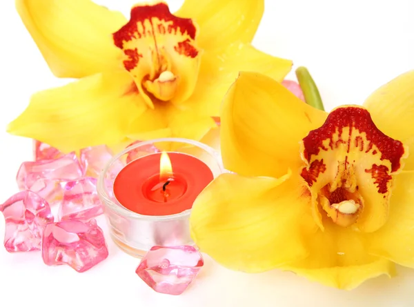 Gelbe Orchideen und Kerzen — Stockfoto