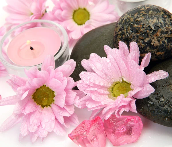 Roze bloemen en kaarsen — Stockfoto