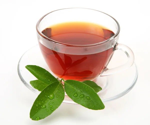 Herbata i zielony liść — Zdjęcie stockowe