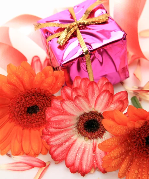 Flores finas e caixas com presentes — Fotografia de Stock