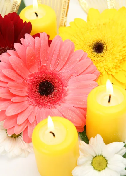 좋은 꽃과 촛불 스톡 사진