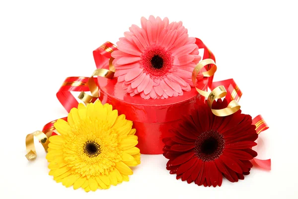 Gifts and flowers Stock Photo