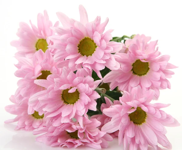 Flores rosadas Imagen De Stock