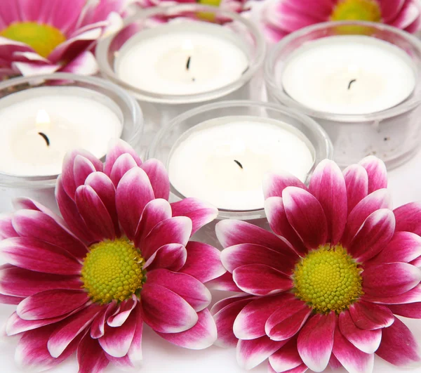 핑크 꽃과 촛불 스톡 이미지
