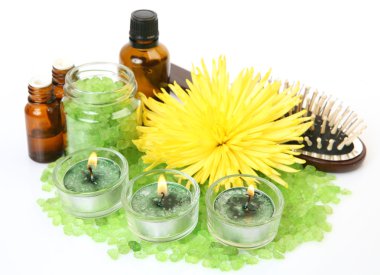 bir bedene bakmak için özneler