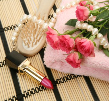 tuvalet aksesuarları