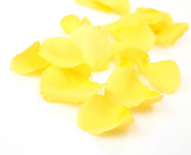 güzel gül yaprakları