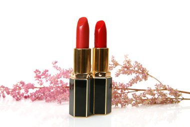 Decorative cosmetics. Lipstick