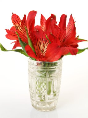 prachtige Aziatisch meisje houdt van haar hoge hakken