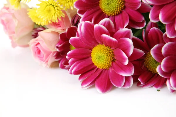 Flores finas — Fotografia de Stock