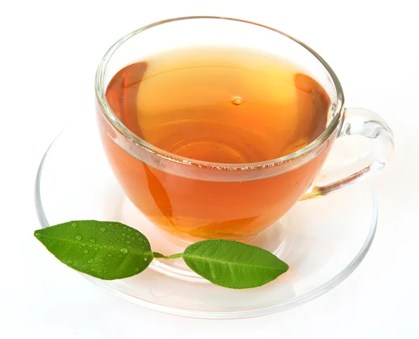 Čaj a zelený list — Stock fotografie