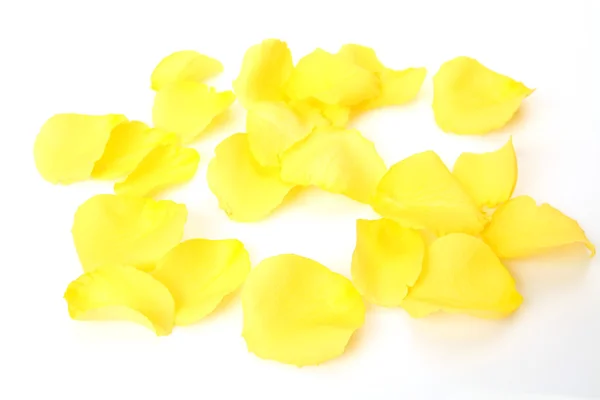 Gele bloemblaadjes Stockfoto