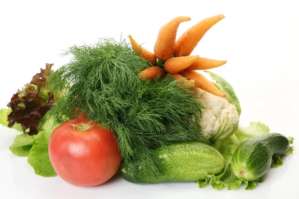 Verduras frescas para un pienso dietético — Foto de Stock