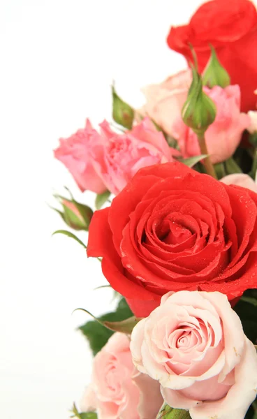 Bouquet of roses — Stock Photo, Image