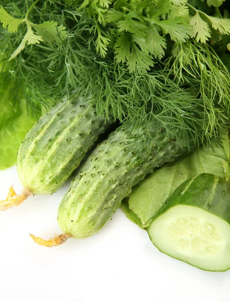 Fresh vegetables — Stock Photo, Image