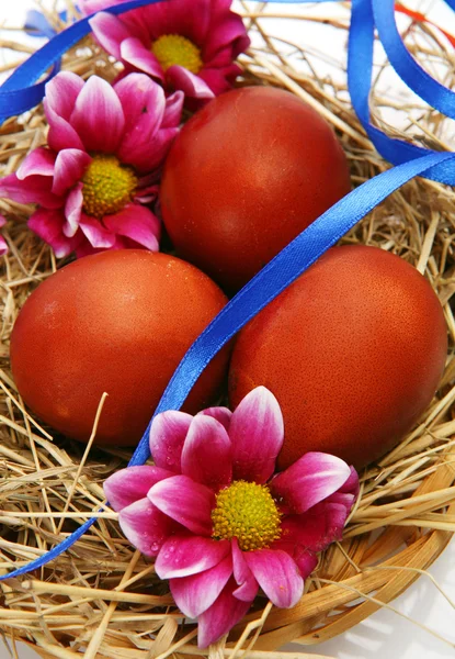 The painted eggs Stock Image