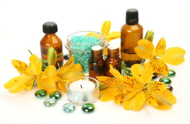 bir bedene bakmak için özneler