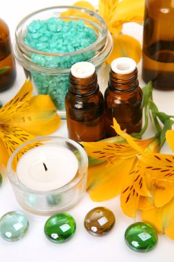 bir bedene bakmak için özneler