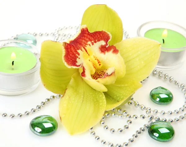 Sárga orchidea és gyertyák — Stock Fotó