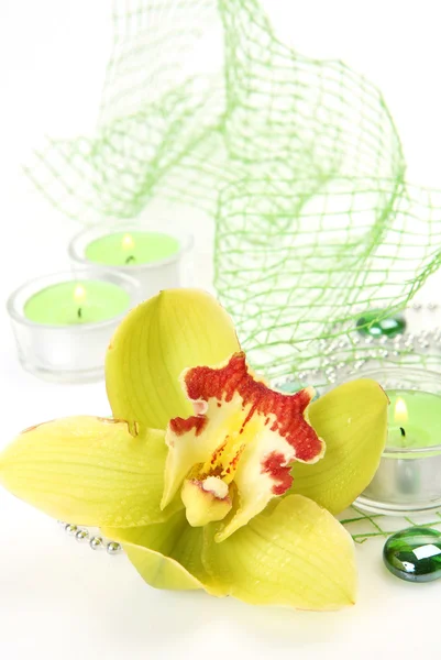 Żółta orchidea i świece — Zdjęcie stockowe