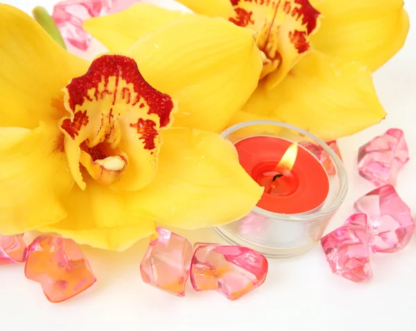 Yellow orchids and candles — Stock Photo, Image