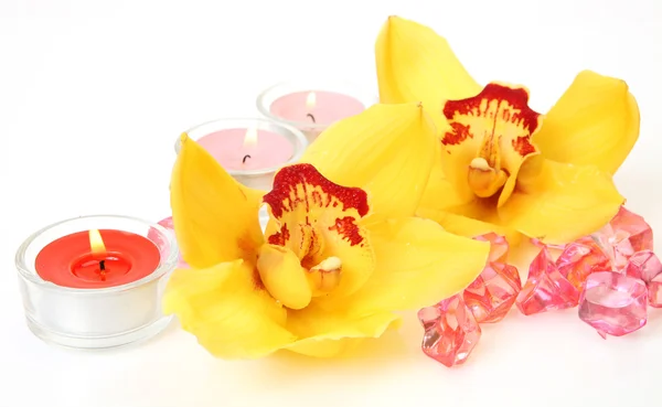 Gul orkidéer och ljus — Stockfoto