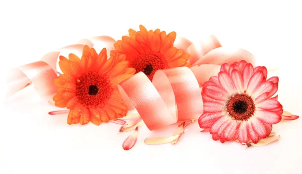 Virágok és szalagok — Stock Fotó