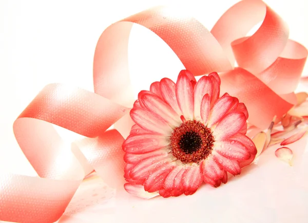 Çiçekler ve flama — Stok fotoğraf