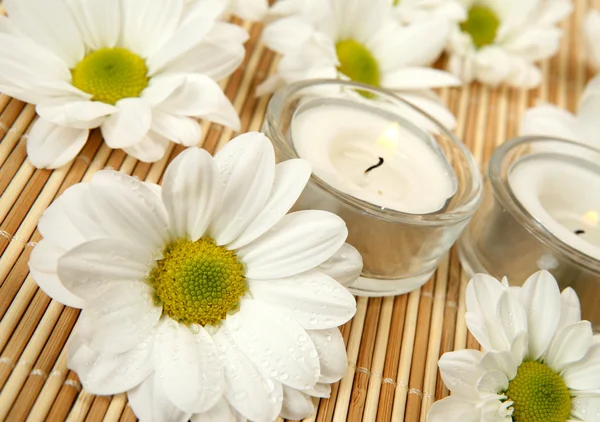 Flowers and candles — Stock Photo, Image