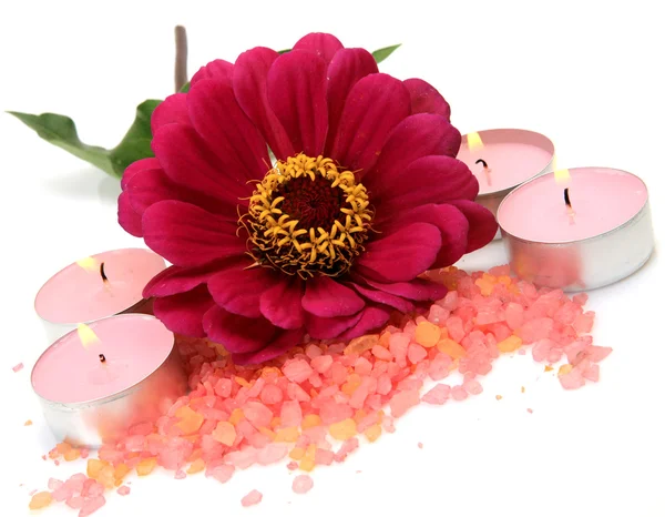 Flower and candles — Stock Photo, Image