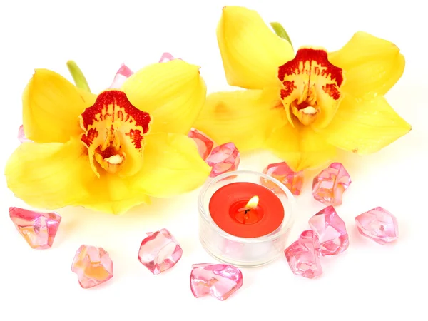 Orquídeas e velas amarelas — Fotografia de Stock