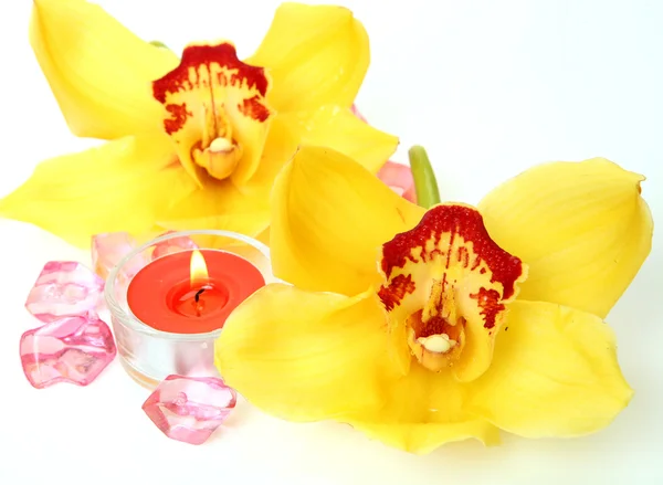Orquídeas e velas amarelas — Fotografia de Stock