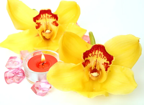 Orquídeas amarillas y velas —  Fotos de Stock