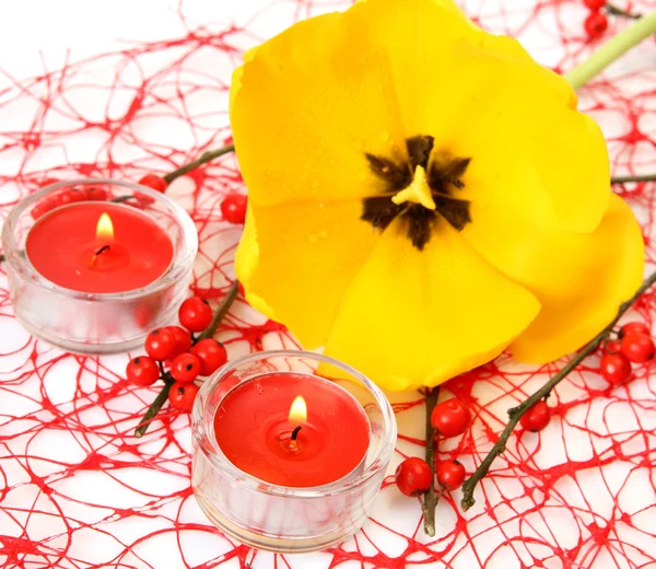 Tulipán amarillo y velas — Foto de Stock