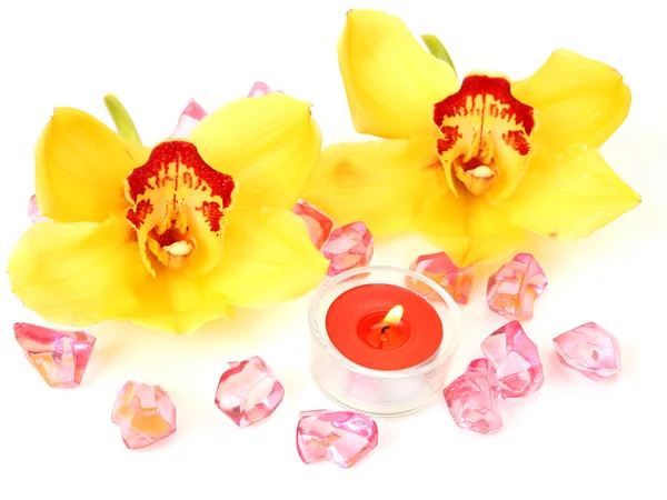 Yellow orchids and candles Stock Image