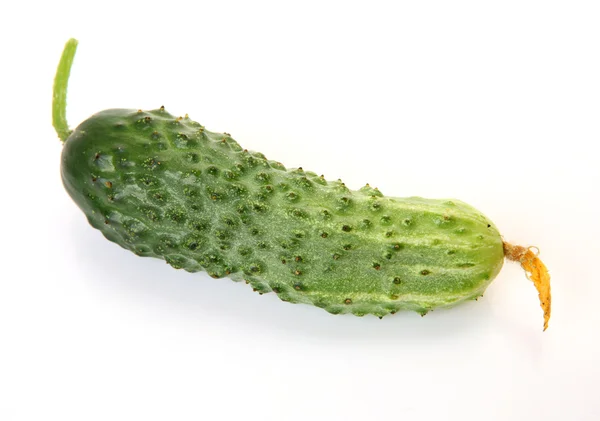 Fresh cucumber for a healthy feed — Stock Photo, Image