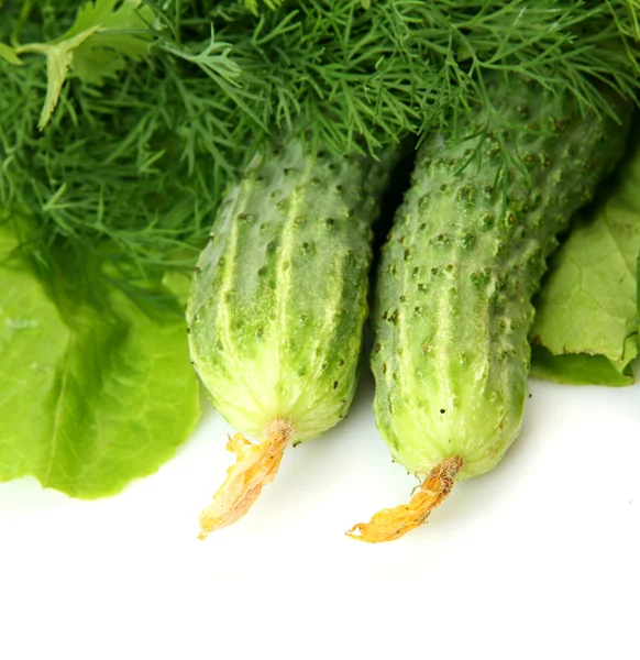 Verduras frescas para un pienso saludable —  Fotos de Stock