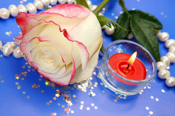 Rose and pearls — Stock Photo, Image