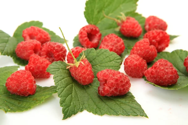 Ripe raspberries — Stock Photo, Image