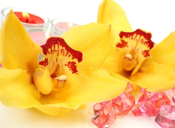 Orquídeas e velas amarelas — Fotografia de Stock