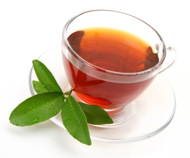 çay ve yeşil yaprak
