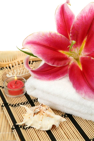 Aromatherapie, Wellness, Massage — Stockfoto