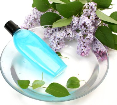 bir bedene bakmak için özneler