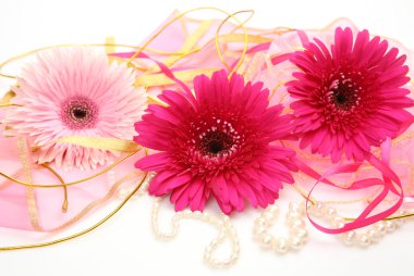 çiçekler ve şeritler