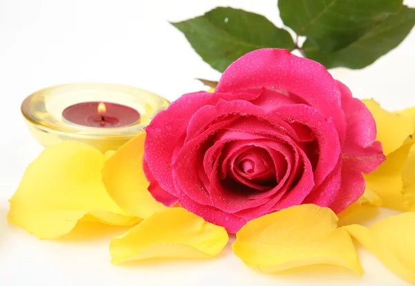 Rose and candle — Stock Photo, Image