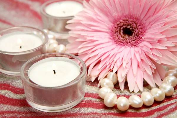 Pink flower and candles — Stock Photo, Image