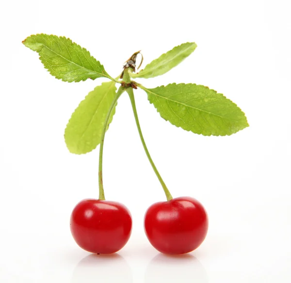 Ripe cherry — Stock Photo, Image