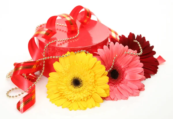 선물 및 꽃 로열티 프리 스톡 사진